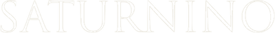 saturnino2 - logo