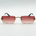 Cartier CT0598S — Fronte