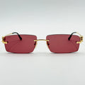 Cartier CT0430S — Fronte