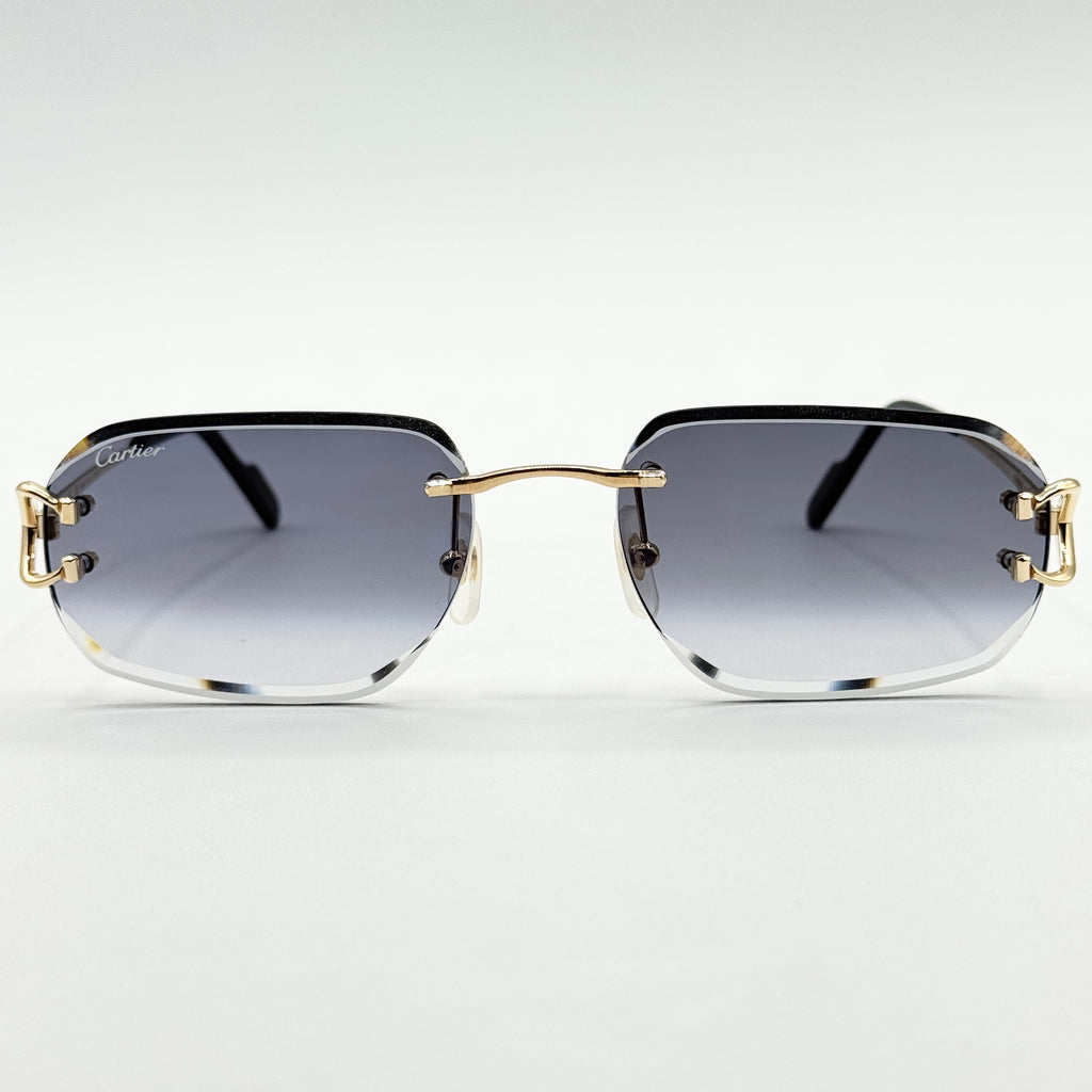 Cartier CT0468S — Fronte