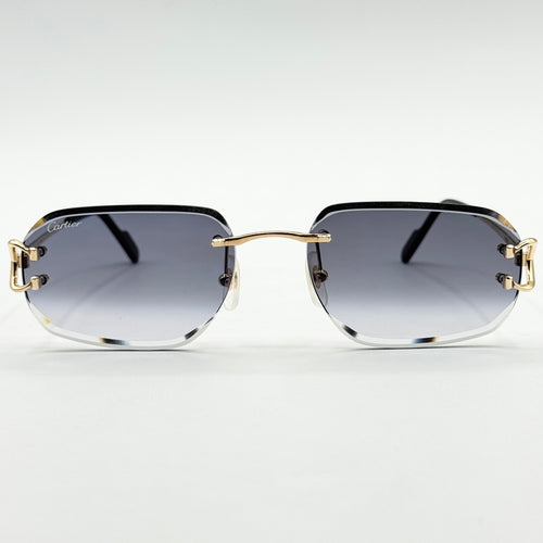 Cartier CT0468S — Fronte