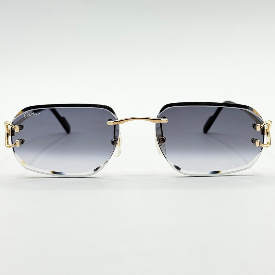 Cartier CT0468S — Fronte