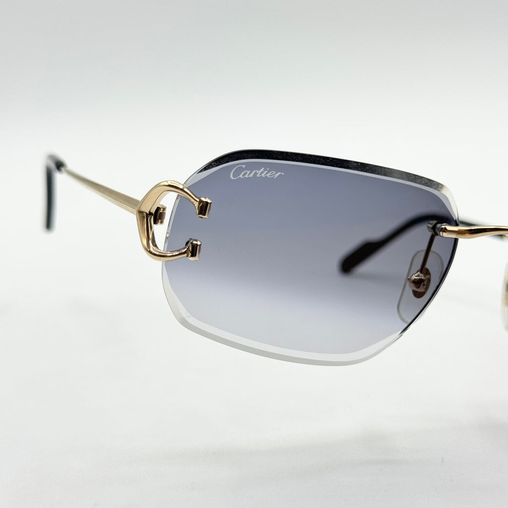 Cartier CT0468S — extra